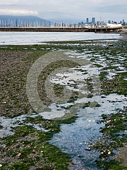 Low tide at Jericho beach in Vancouver