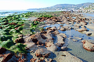 Low Tide at Laguna Beach at Cleo Street, Laguna Beach, California