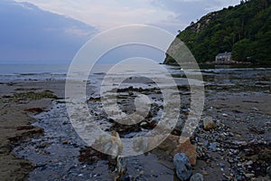 Low tide on Llanbedrog beach on the Llyn Peninsula, North Wales