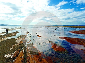 Low tide at Long Reef Headland