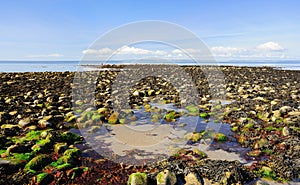 Low tide, Luce bay, Scotland