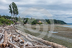 Low Tide At Normandy Park