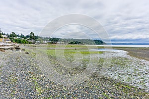 Low Tide Northewest Shoreline