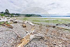 Low Tide Northewest Shoreline 3