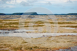 Low tide ocean coast at South Pacific