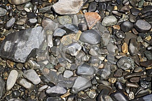 Low Tide Ocean Rocks