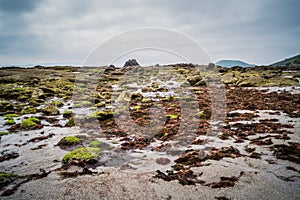 Low tide at Ons island photo