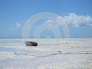 Low tide at Paje, Zanzibar.