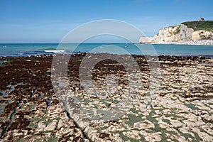 Low tide period and view on ocean bed and chalk cliffs of Porte d`Aval arch in Etretat, Normandy, France. Tourists destination photo