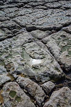 Low tide period and view on ocean bed and chalk cliffs of Porte d`Aval arch in Etretat, Normandy, France. Tourists destination photo