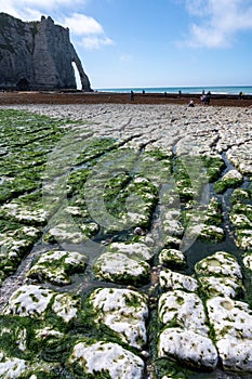 Low tide period and view on ocean bed and chalk cliffs of Porte d`Aval arch in Etretat, Normandy, France. Tourists destination photo