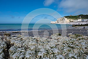 Low tide period and view on ocean bed and chalk cliffs of Porte d`Aval arch in Etretat, Normandy, France. Tourists destination photo