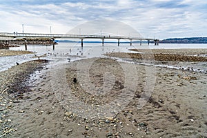 Low Tide Pier 4