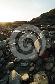 Low tide tide pools exposed at sunset