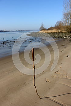 Low Tide at the river Elbe, Hamburg