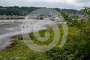 Low tide sand banks of the gig harbor water front