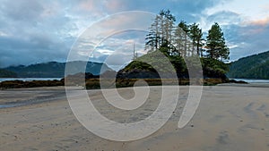 Low tide sandy beach with trees on island at San Josef bay on Vancouver Island, British Columbia, Canada