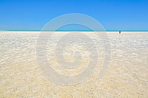 Shell Beach - Denham