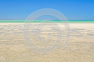 Shell Beach - Denham