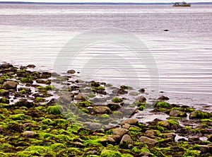 Low Tide at Silver Sands State Park in Milford