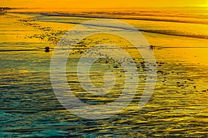 Low tide sunrise on Old Orchard Beach