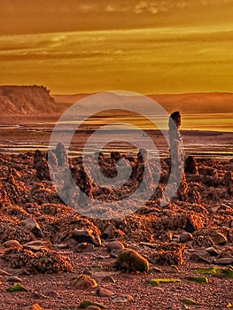 Low Tide Sunrise At Spencers Island, Nova Scotia