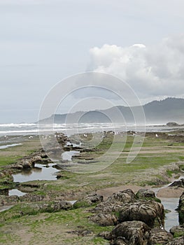 Low tide, tide pools,