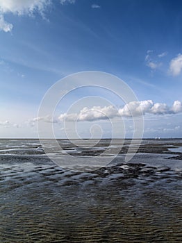 Low tide tideland