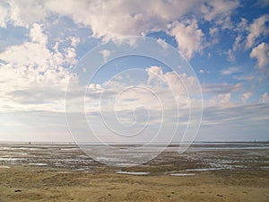 Low tide tideland