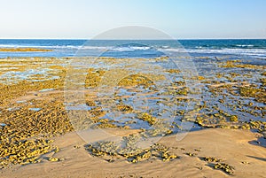 Low tide - Torquay