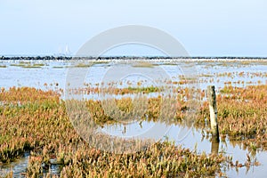Low tide at the wadden island photo