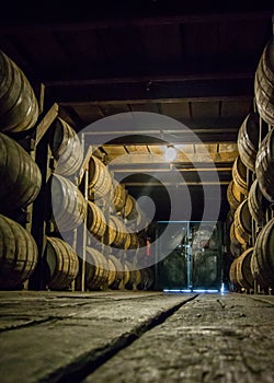 Low View of Barrel Walkway