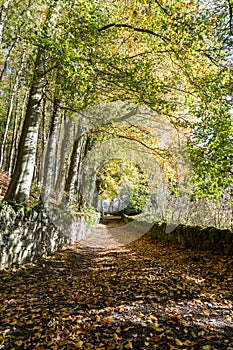 Low view of quiet fall leaves cover a flat road with stone walls on each side and tall trees to the left near Doune Castle in