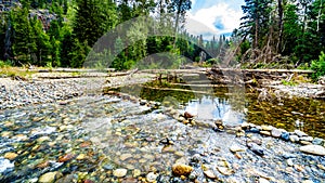 Low water levels in the Coldwater River Salmon Habitat of Brookmere in BC, Canada