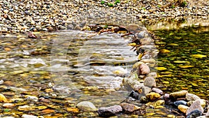 Low water levels in the Coldwater River Salmon Habitat of Brookmere in BC, Canada