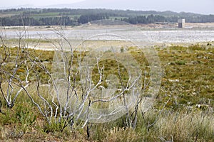 Low water levels in Theewaterskloof dam, Western Cape