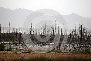 Low water levels in Theewaterskloof dam, Western Cape