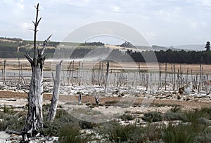 Low water levels in Theewaterskloof dam, Western Cape