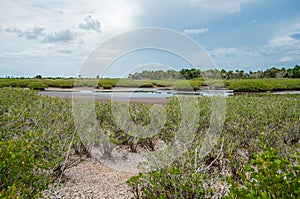 low water at Merritt Island National Wildlife Refuge.