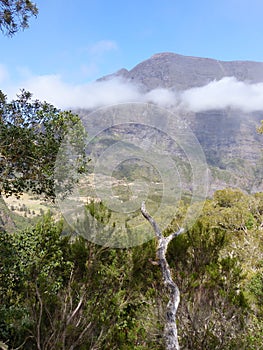 Low white cloud of the circle of Mafate in the Reunion Island.