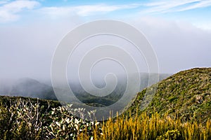 Low white clouds hovering over bush covered mountain ridge