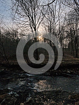 Low winter sun over a creek in a forest in high fens region in Belgium