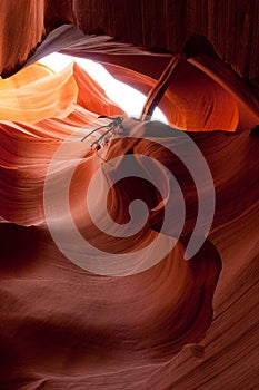 Lower Antelope Canyon