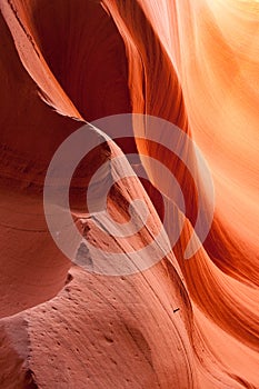 Lower Antelope Canyon photo