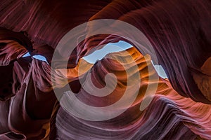 Lower antelope canyon lokking up