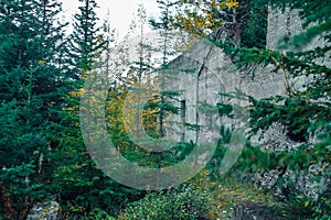 Lower Bankhead, coal mine ghost town, Banff National Park, Alberta, Canada