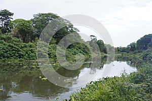 River Tempisque Tropical photo