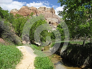 Lower Calf Creek Falls Trail