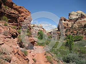 Lower Calf Creek Falls Trail