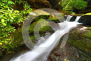 Lower Caney Creek Falls - Alabama